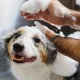 Premium Dog Shampoo and Conditioner for All Coat Types